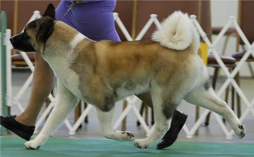 Kahei